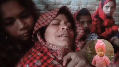 बहराइच:मां अपने बच्चे को गोद में पिला रही थी दूध,आदमखोर भेड़िया उठा ले गया बच्चे को